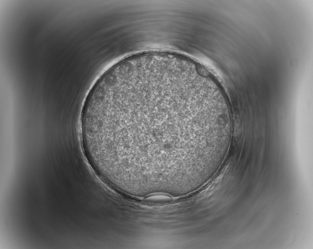 X0000096641287200802261249