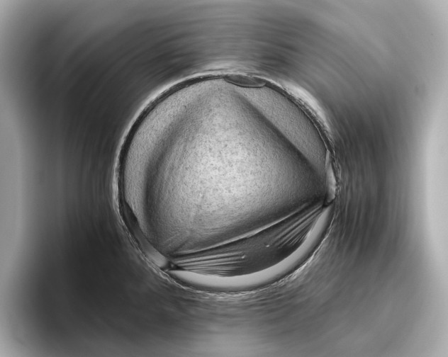 X0000096641288200802261249