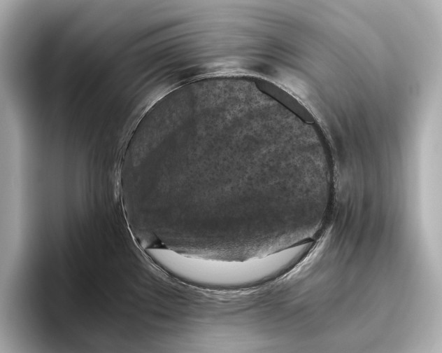 X0000096641289200802261249