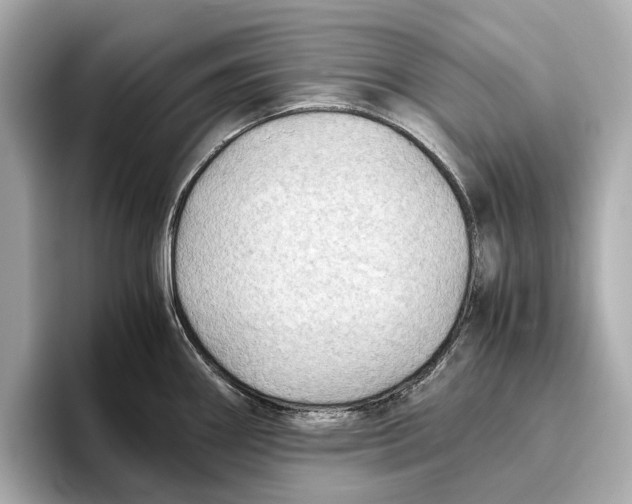 X0000096641290200802261249