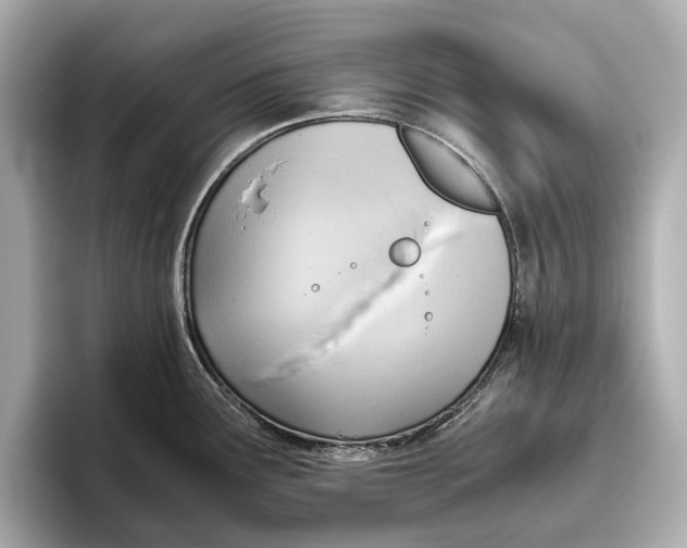 X0000096641291200802261249