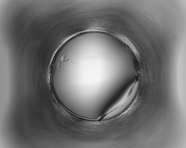 X0000096641292200802261249