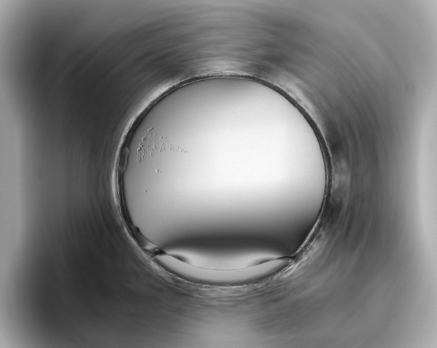 X0000096641293200802261249