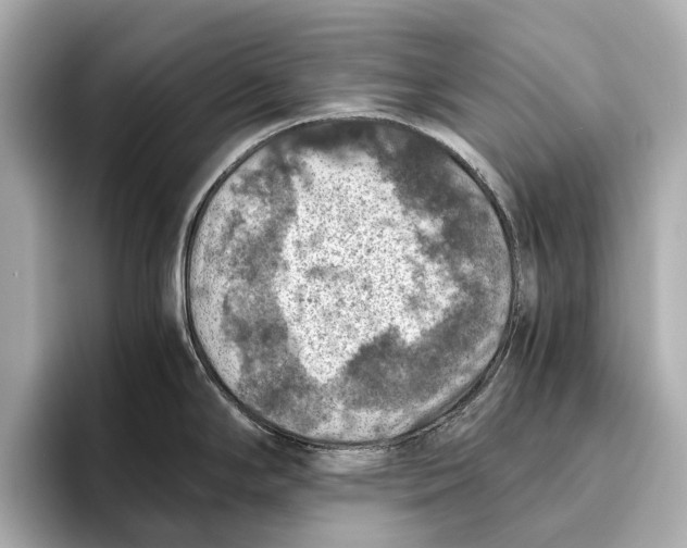 X0000096641294200802261249