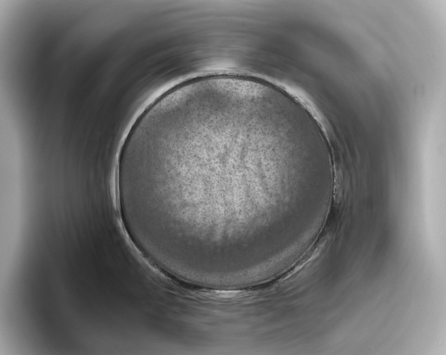 X0000096641295200802261249