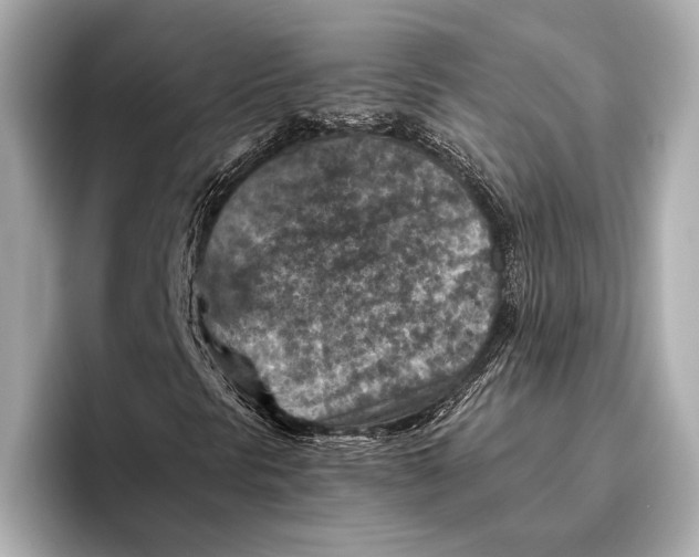 X0000096641297200802261249