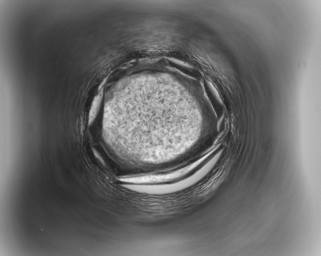 X0000096641300200802261249