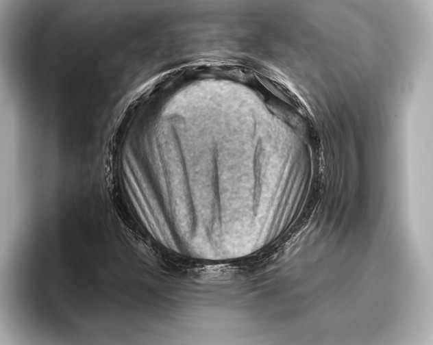 X0000096641304200802261249