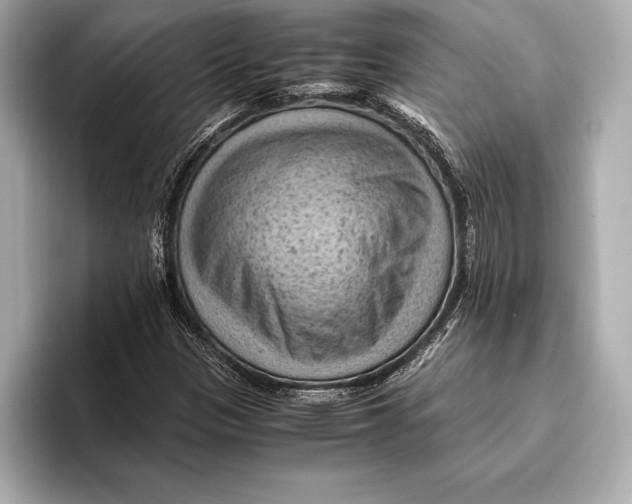 X0000096641305200802261249