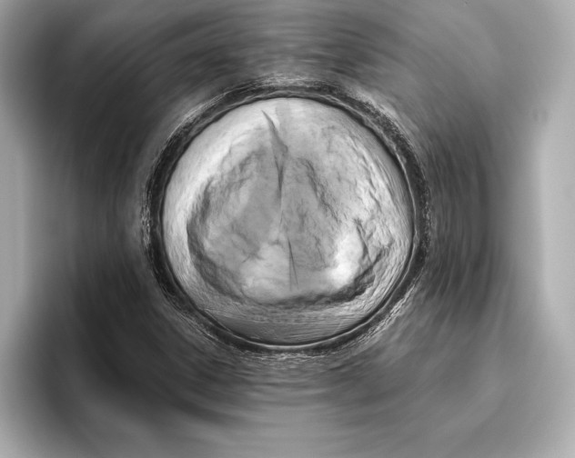 X0000096641306200802261249