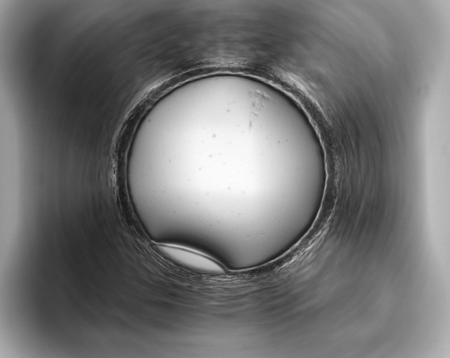 X0000096641307200802261249