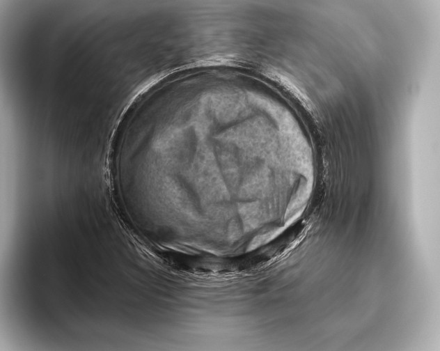 X0000096641308200802261249