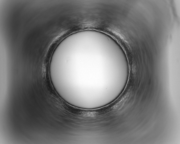 X0000096641309200802261249