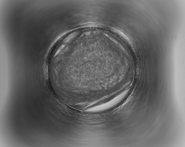 X0000096641310200802261249