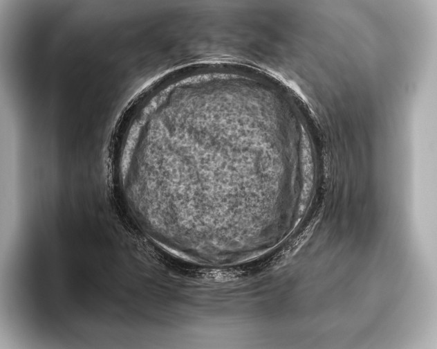 X0000096641311200802261249