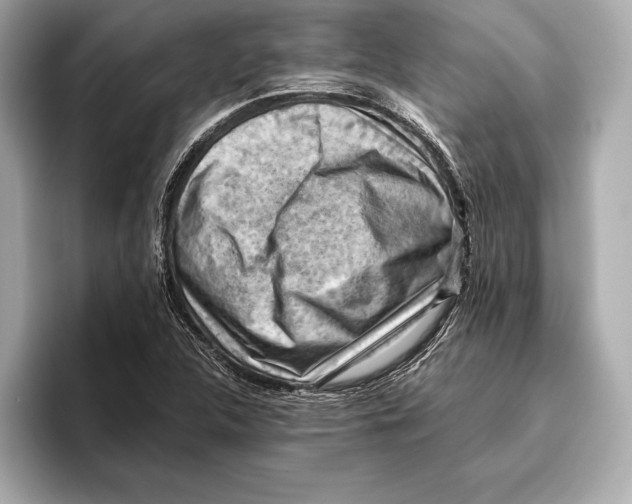 X0000096641312200802261249