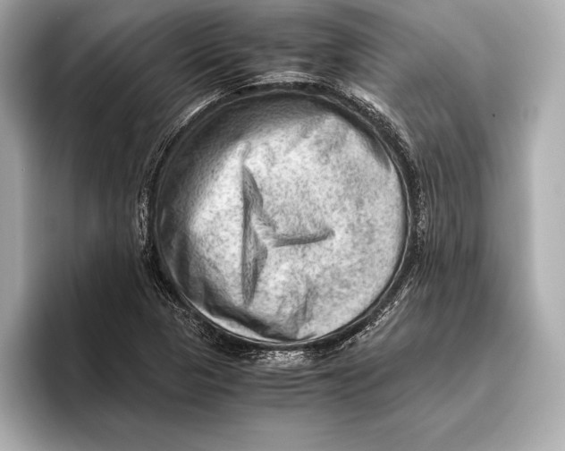 X0000096641313200802261249