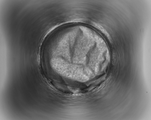 X0000096641316200802261249