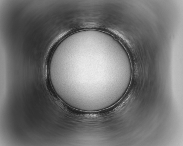 X0000096641317200802261249