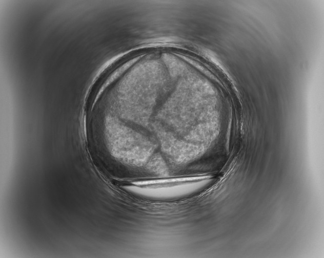 X0000096641320200802261249