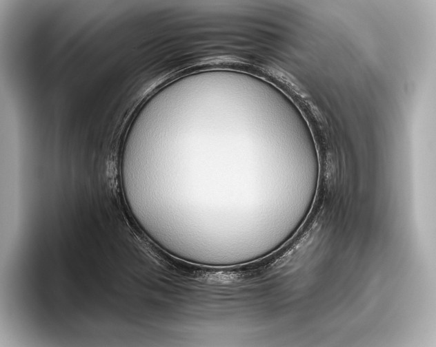 X0000096641321200802261249