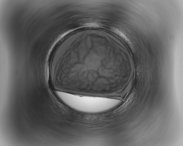 X0000096641323200802261249