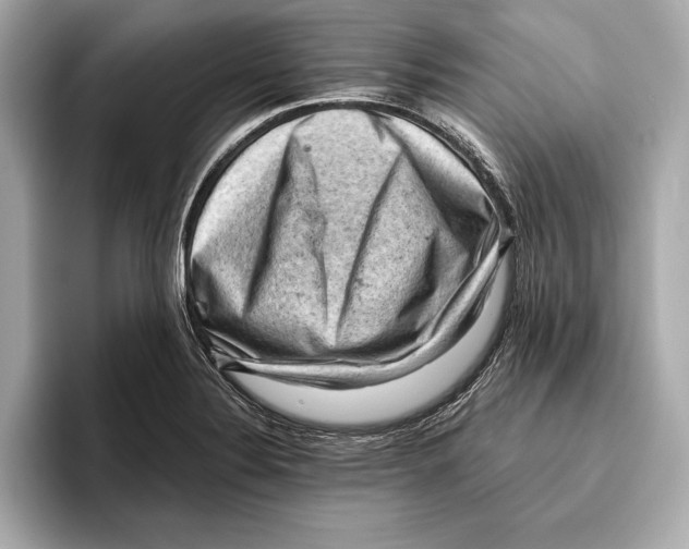 X0000096641324200802261249