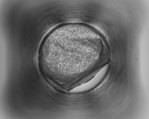 X0000096641325200802261249