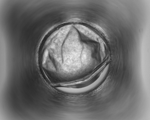 X0000096641326200802261249