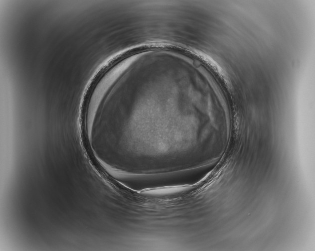 X0000096641327200802261249