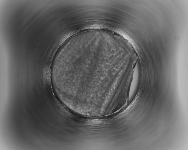 X0000096641329200802261249