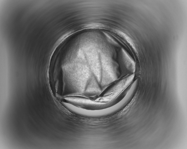 X0000096641330200802261249