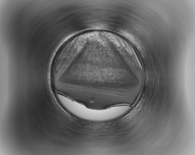 X0000096641331200802261249