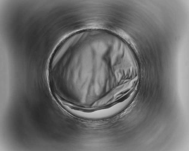 X0000096641334200802261249