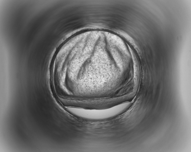 X0000096641335200802261249