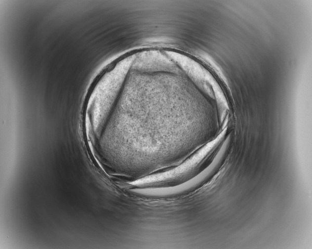 X0000096641336200802261249