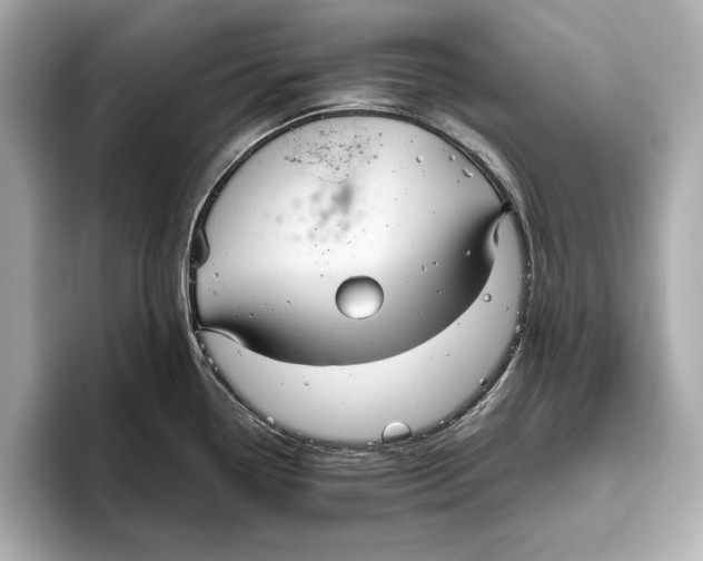 X0000096641338200802261249