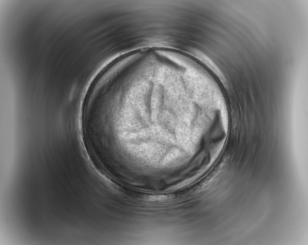 X0000096641339200802261249