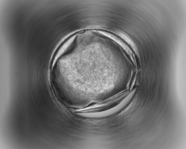 X0000096641340200802261249