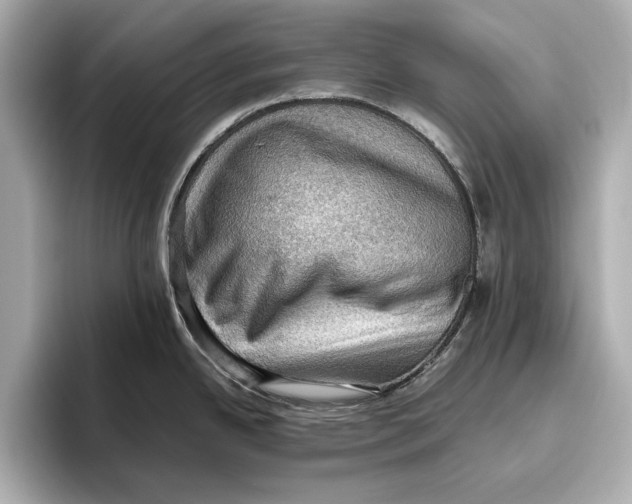 X0000096641342200802261249