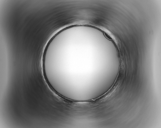 X0000096641343200802261249