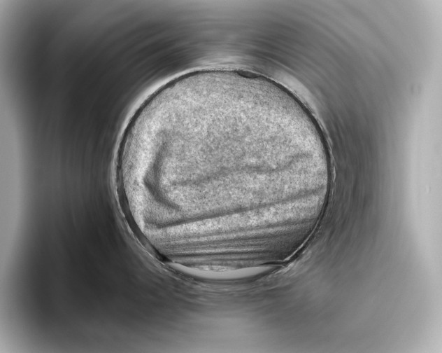 X0000096641344200802261249