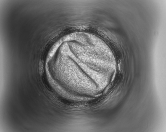 X0000096641347200802261249