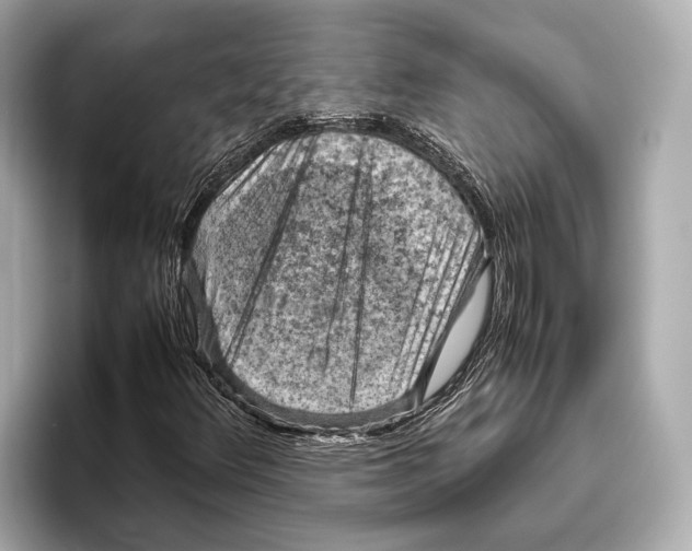 X0000096641348200802261249