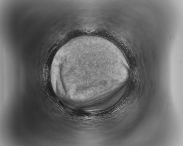 X0000096641349200802261249