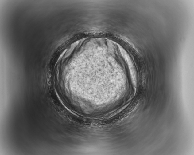 X0000096641350200802261249