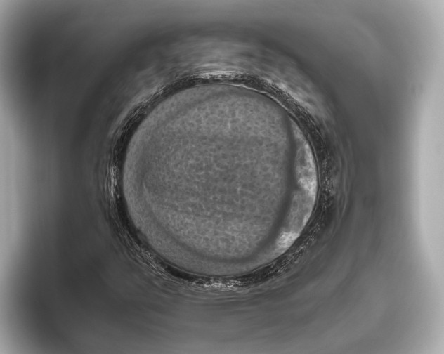 X0000096641351200802261249