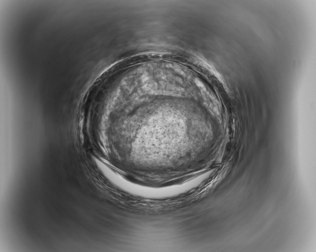 X0000096641352200802261249