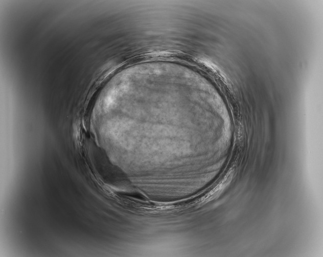 X0000096641353200802261249