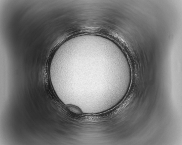 X0000096641354200802261249